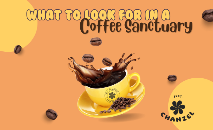 What to look for in a coffee sanctuary just Chanzel blog